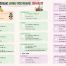 진도군 보배섬 문화예술제 이미지