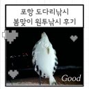 유정1리 (옥내1) | 포항 도다리낚시 봄맞이 워킹 원투낚시 후기