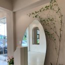 UR(경주시)-[단석로]-하-1 | 경주 찰보리빵 카페 추천 • 찰보리빵은 여기가 진짜다! 단석가 건천점 CAFE BOAZ