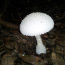 서홍동-9 이미지