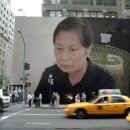 포니어 이미지