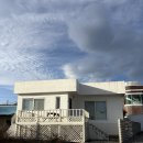 월소정34 이미지