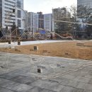 피어나는 생명 이미지