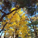 영주 소수서원 이미지