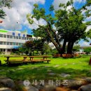 곡성-157 이미지