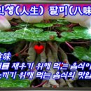 팔미가 Daum카페