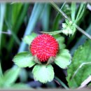 신농한의원 이미지