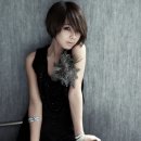 노시현 카카오 검색결과