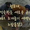 노랑통닭청포대점