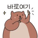 머스타시 이미지