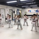 퍼스트 한국 태권도장 이미지