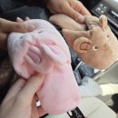 은어송로(77번길) 이미지