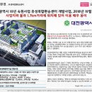 도안982
