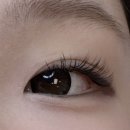 세븐일레븐 주안인하로점 | (인천/주안) 속눈썹 연장 맛집 이자벨 브로우 후기!