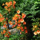 망원초교 이미지