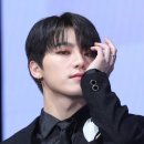 꼬두람이 이미지