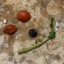 경미수산 | 꽈배기떡볶이불닭햄버거돈까스