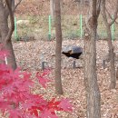 운학동 돌방무덤 이미지