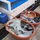 코지펜션 민박 이미지