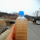 양동매점