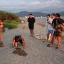 비바투어 - 사상구 백양대로342번길 21 | 비바투어