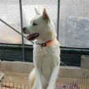 기찬농장 이미지