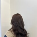 차이 헤어살롱