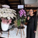 HAN 행정사 사무소 이미지