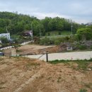 31586 강상면 신화리 숲속나무 어린이집 안쪽 아늑한 전원단지 평탄 임야 512㎡(155평)급매매1.4억 이미지