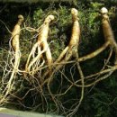 이지스한의원 이미지