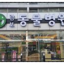 람보동물병원 네이버블로그