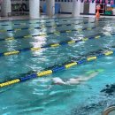 서울봉래초등학교 | 당근마켓에서 구한 서울 중구 수영원데이클래스 후기