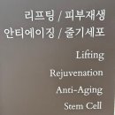 바디히트짐 | 청담 튠페이스 효과 가격 솔직후기