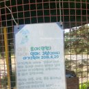 팜스퀘어 하늘타리 | 여주 팜스퀘어 하늘타리 캠핑장 진달래 사이트 1박 후기