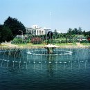 경북대학교 이미지