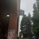 야쿠르트 스왈로즈 vs 세이부 라이온스 직관 후기 @메이지진구스타디움 ❘ 퇴근 후 노잼경기 직관;