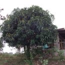 진공농장 이미지