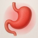 좋은가스 이미지