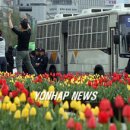 여심(女心) 이미지