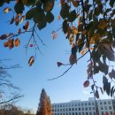 한걸음가게 | 감염전문간호사에 한걸음 다가가게 된 오늘, 대학원 합격!!!