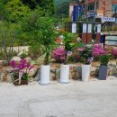 아침마루와이너리 이미지