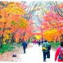 고창오토캠핑리조트 이미지