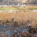 골정지 당진신문