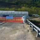 태경농장2 이미지