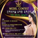 스타인터내셔널 이미지