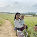 동욱목장 이미지