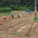 파지리경로당 이미지