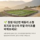 남포공인중개사사무소 이미지