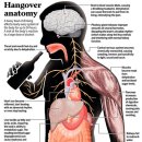 송가한의원 이미지