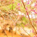 율하광장 반계공원 이미지